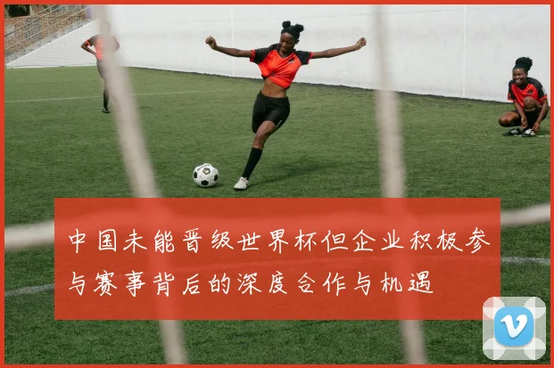 中国未能晋级世界杯但企业积极参与赛事背后的深度合作与机遇